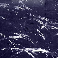 textural space trailer